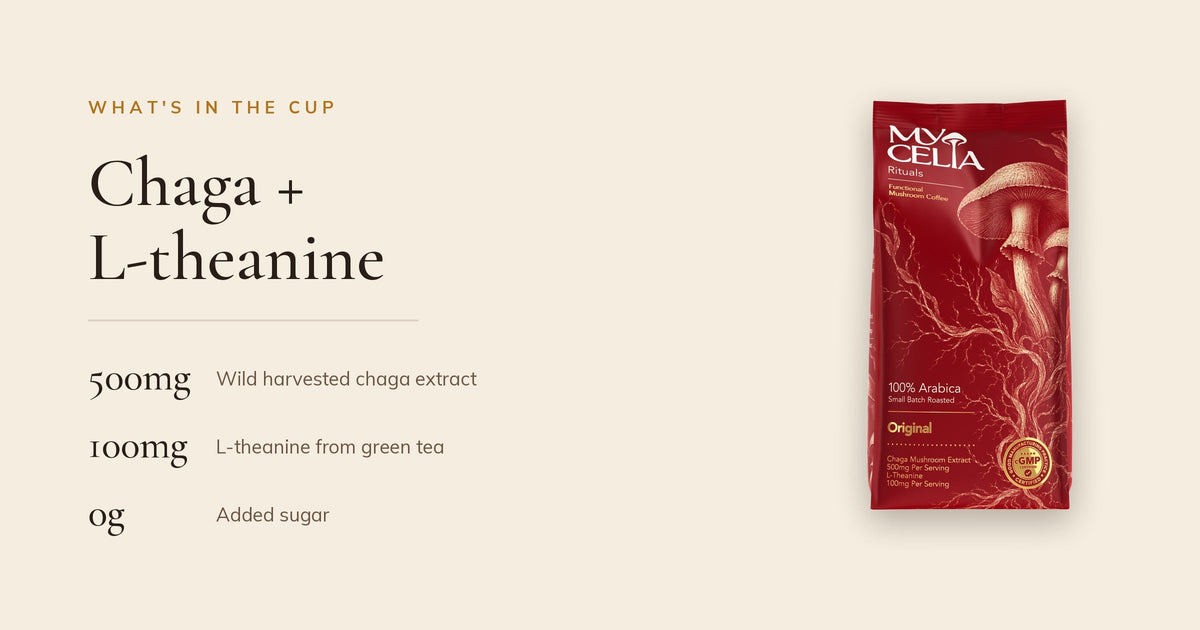 500mg wild harvested chaga extract and 100mg L-theanine per serving