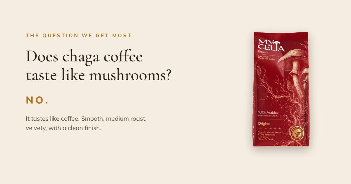 MYCELIA Original bag beside the words "does chaga coffee taste like mushrooms — no"